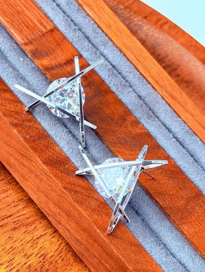 Classy Silver Earrings (2)