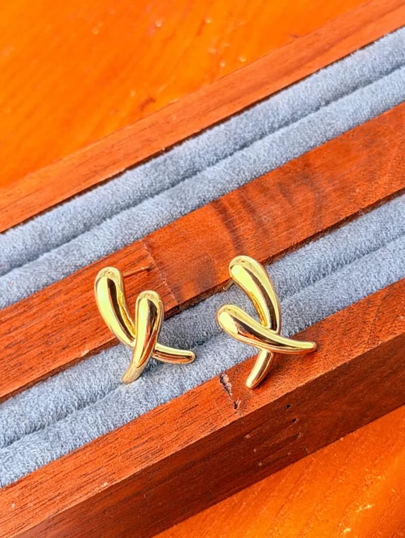 Classy Earrings (1)